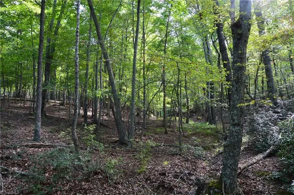 $145,000 | Tract E Hanging Rock Forest Road, Unit TRACT E, Danbury, NC 27016