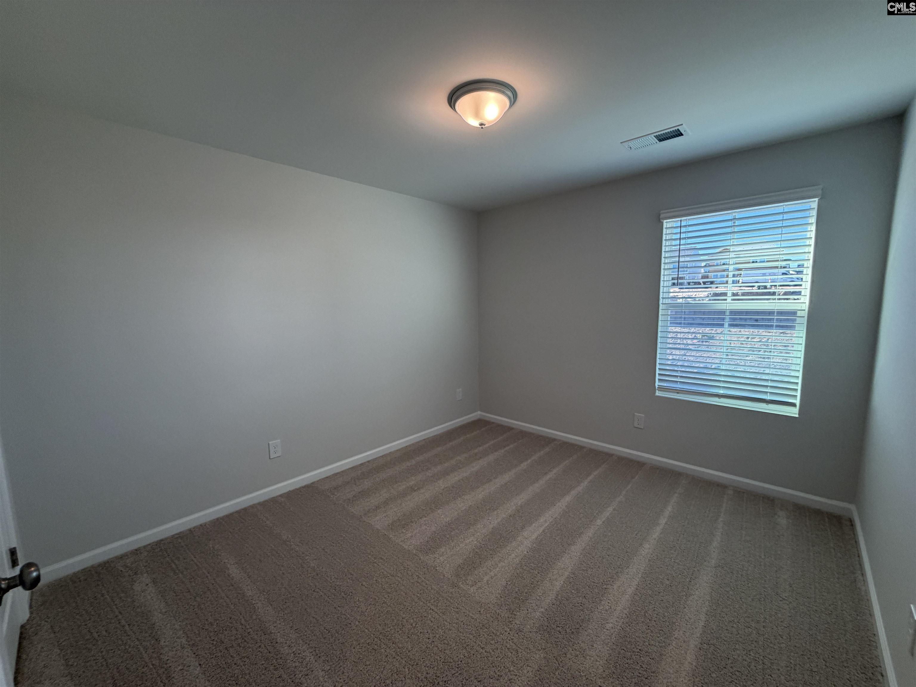 4032 Monetta Drive Elgin, SC 29045 - Photo 19 of 22