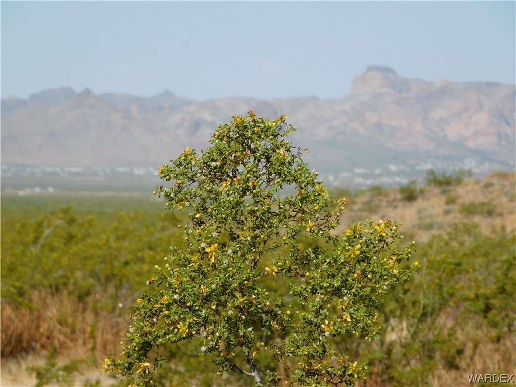 Lot 183 South Bacobi Road Golden Valley, AZ 86413 - Photo 1 of 18 Gallery Image 1