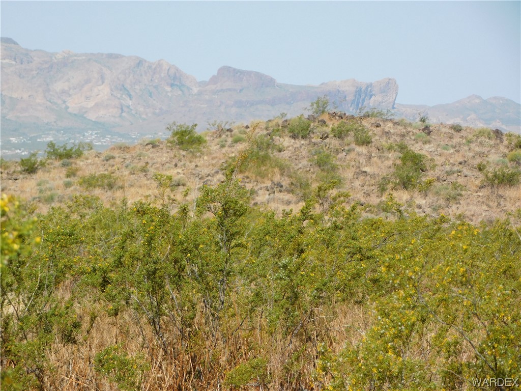 Lot 183 South Bacobi Road Golden Valley, AZ 86413 - Photo 2 of 18 Gallery Image 2