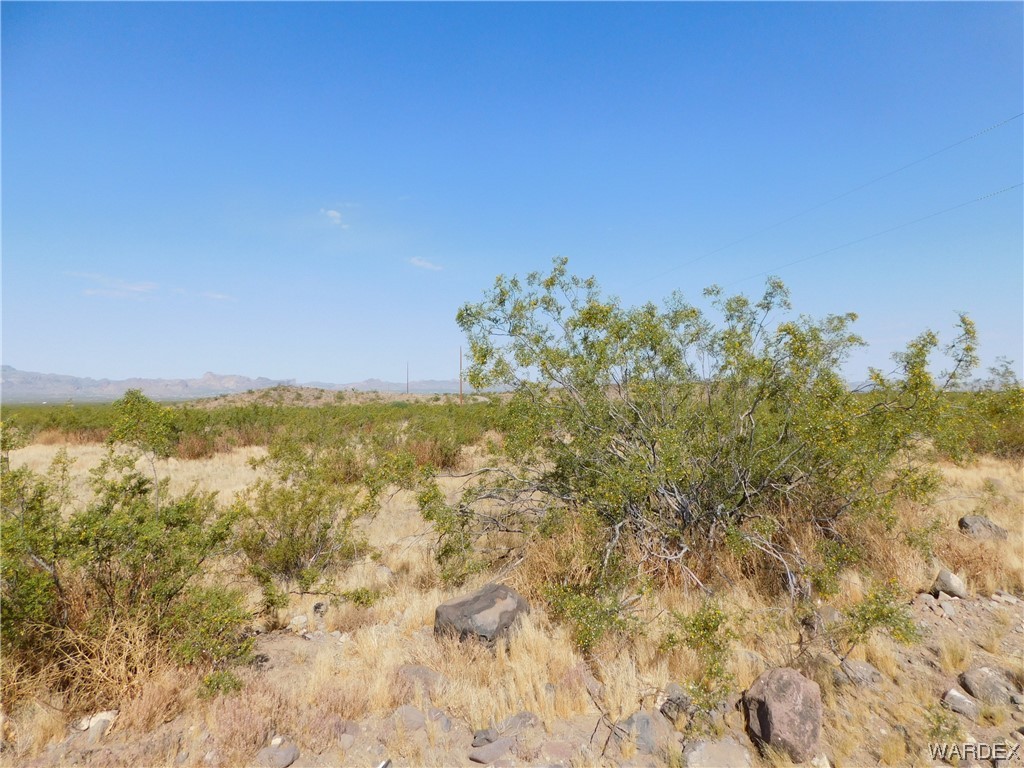 Lot 183 South Bacobi Road Golden Valley, AZ 86413 - Photo 3 of 18 Gallery Image 3
