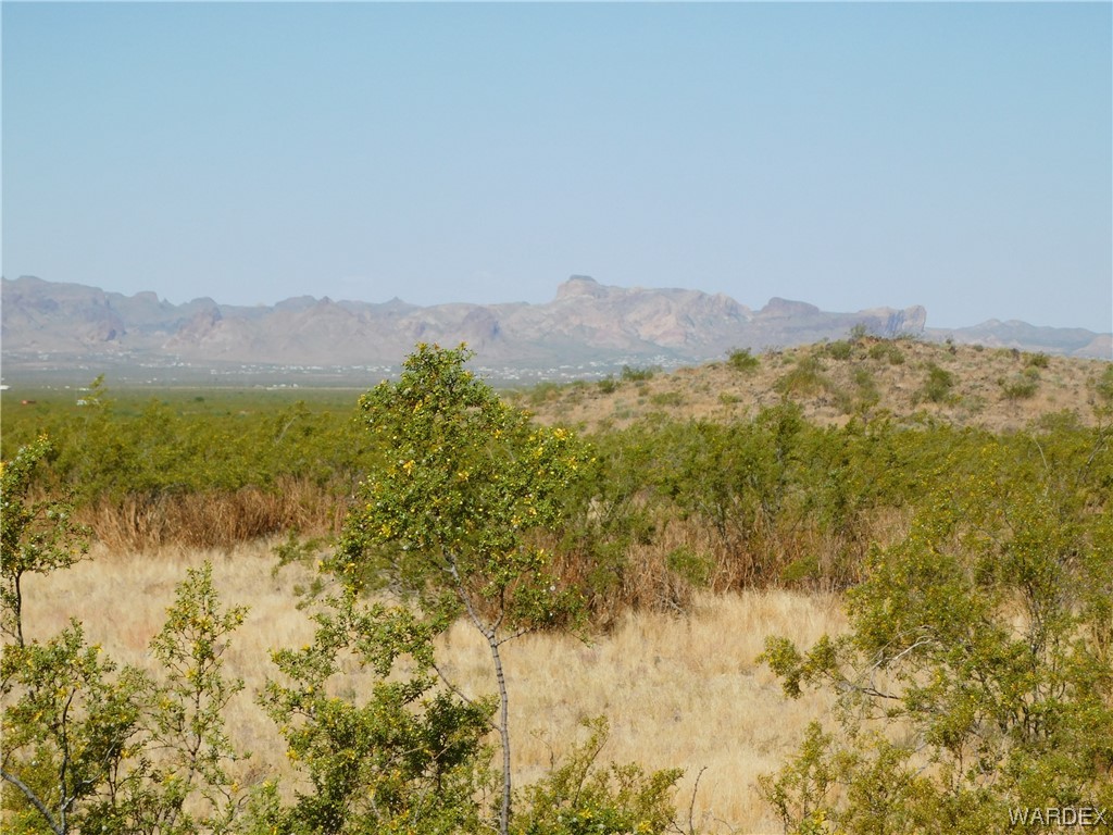 Lot 183 South Bacobi Road Golden Valley, AZ 86413 - Photo 4 of 18 Gallery Image 4