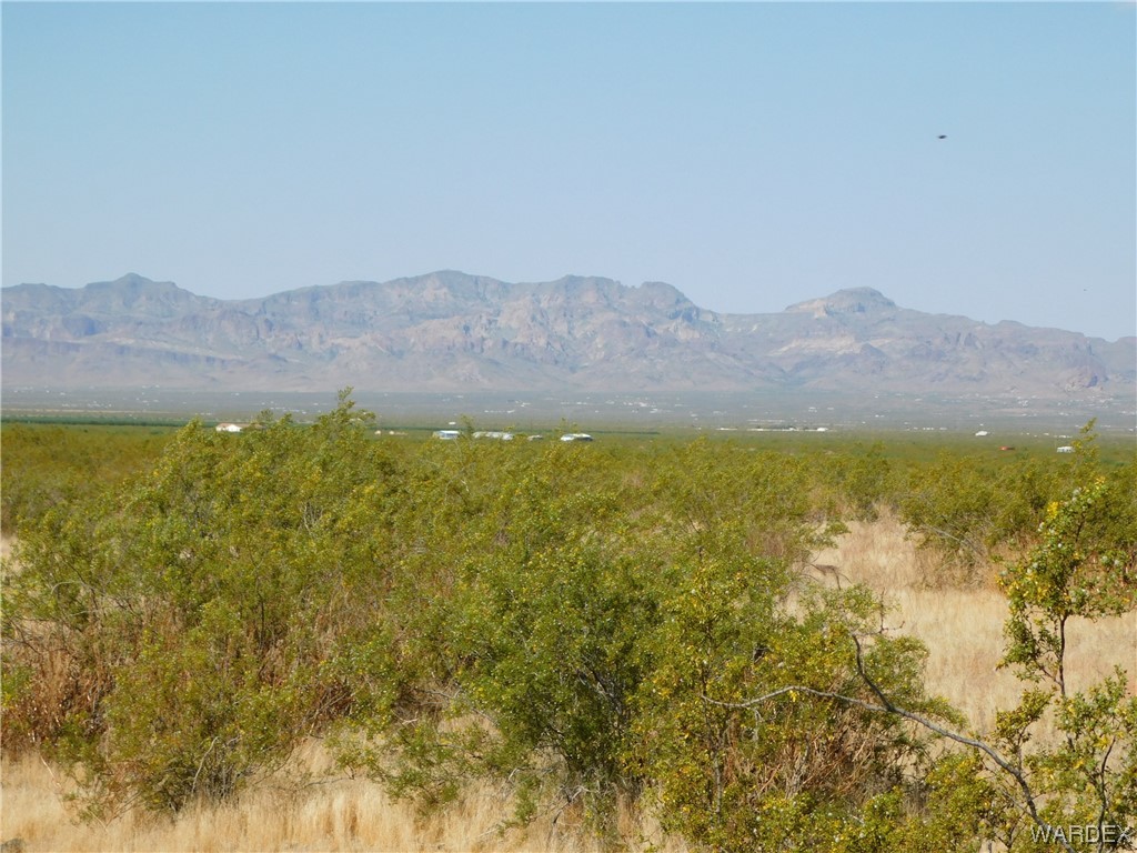 Lot 183 South Bacobi Road Golden Valley, AZ 86413 - Photo 10 of 18 Gallery Image 10