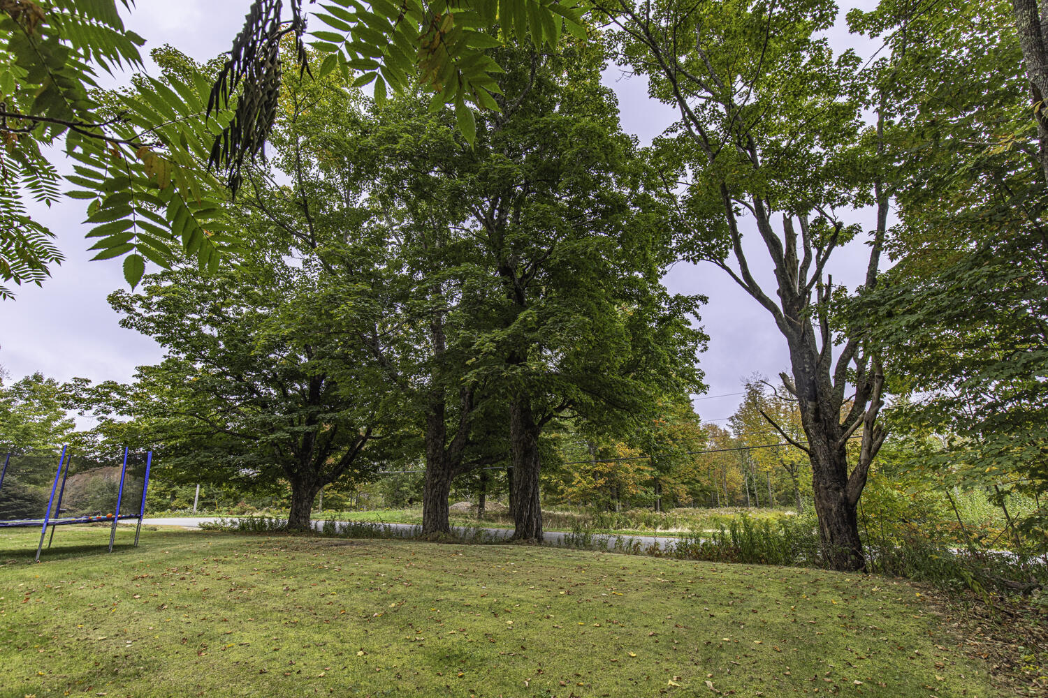 196 Beech Hill Road Northport, ME 04849 - Photo 6 of 43 001f