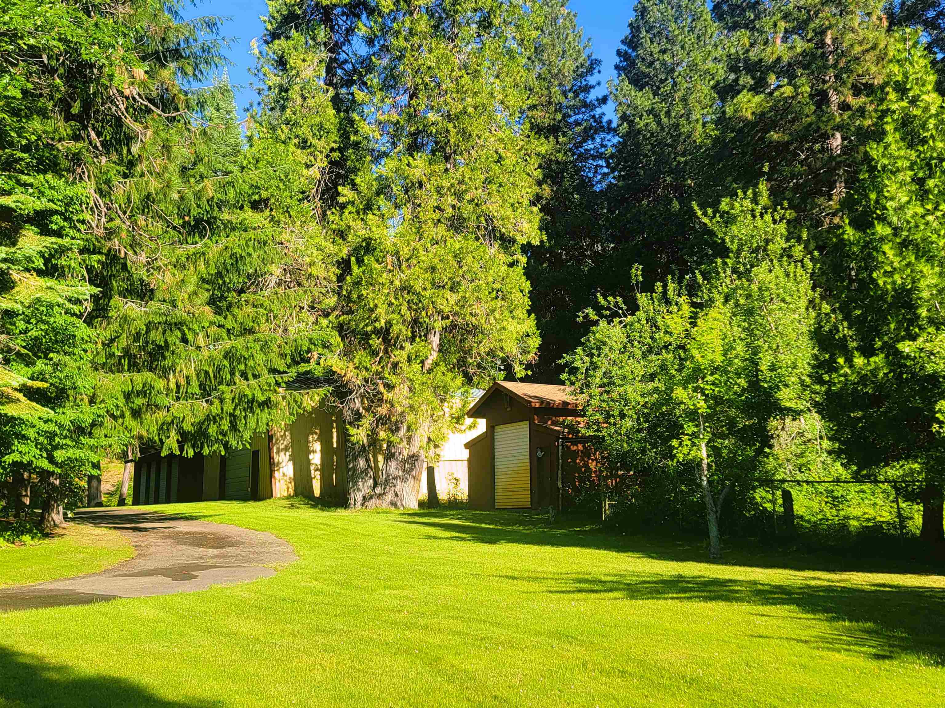 1507 North Shasta Ranch Road Mount Shasta, CA 96067 - Photo 29 of 33 Gallery Image 29