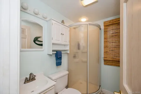 a bathroom with a shower a toilet and sink