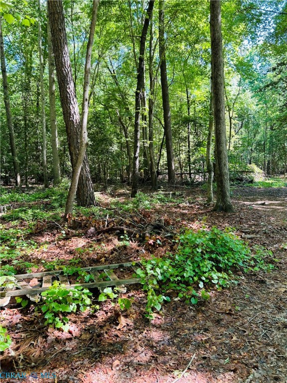 1169 Harris Road Road Kilmarnock, VA 22482 - Photo 3 of 9