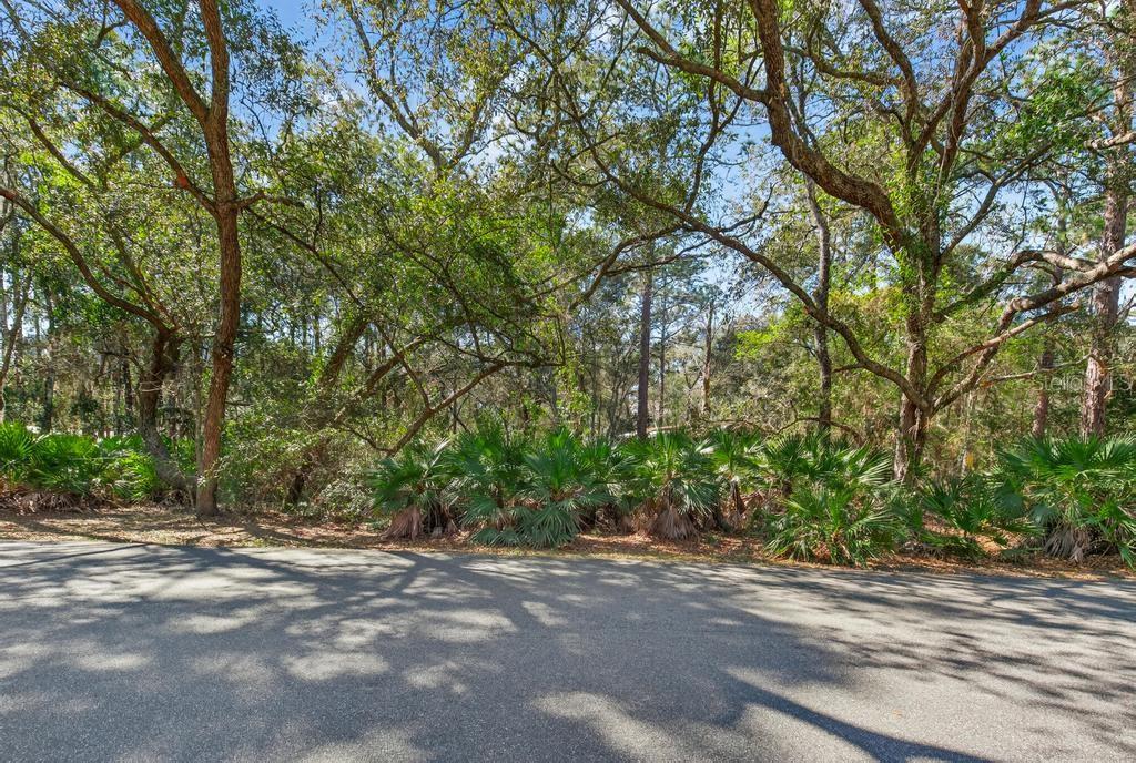 8321 Hardwood Landing Road St. Augustine, FL 32092 - Photo 45 of 70