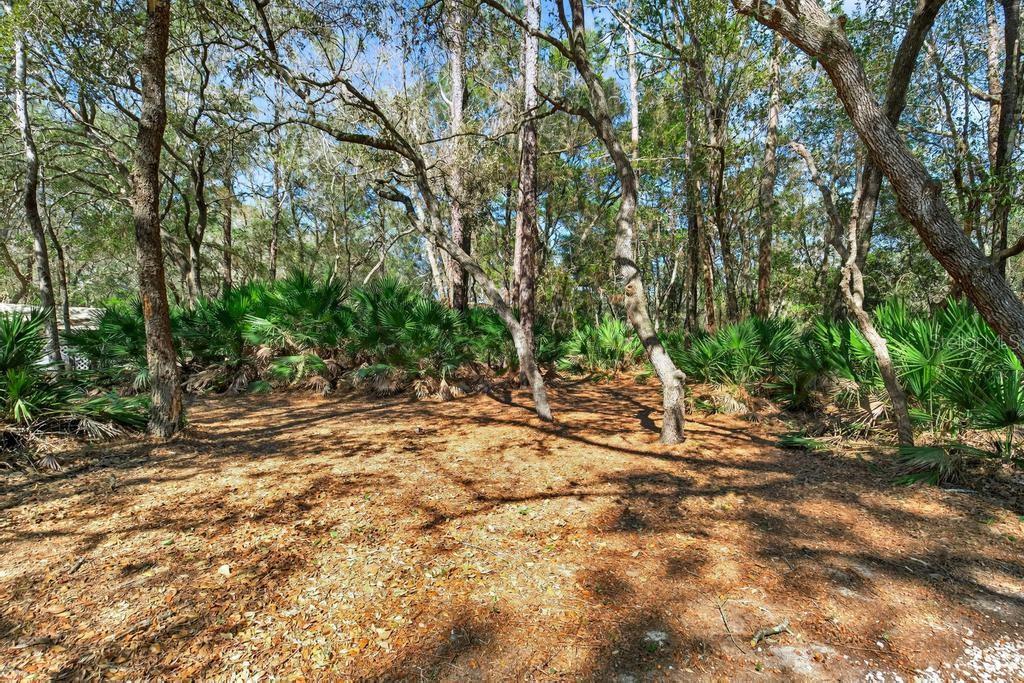 8321 Hardwood Landing Road St. Augustine, FL 32092 - Photo 53 of 70