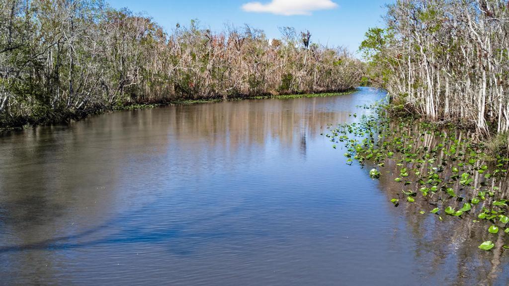 8321 Hardwood Landing Road St. Augustine, FL 32092 - Photo 57 of 70