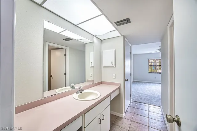 a bathroom with a sink and a mirror