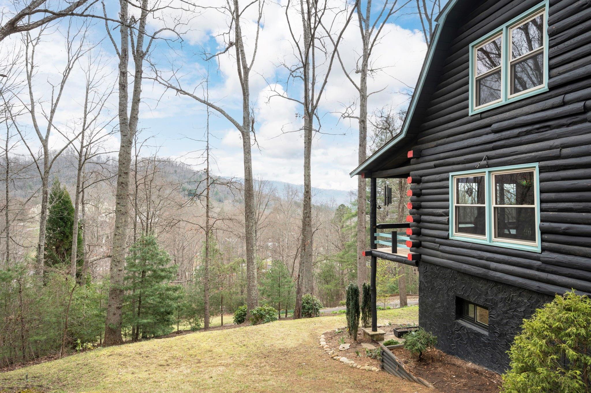 25 Dycus Drive Fairview, NC 28730 - Photo 3 of 30 a pathway of a house with a backyard