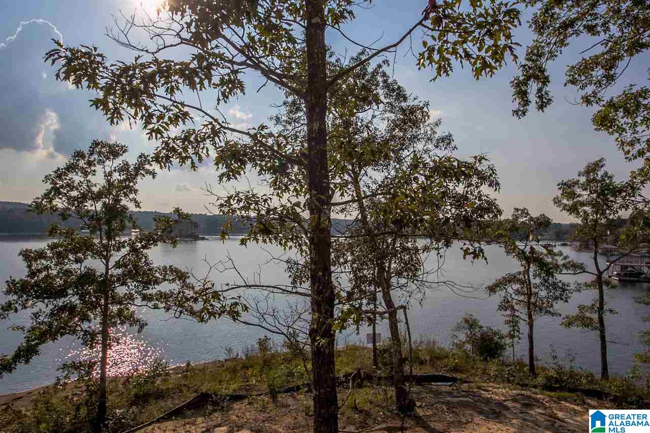 Lot 9 Sunset Drive Arley, AL 35541 - Photo 12 of 26
