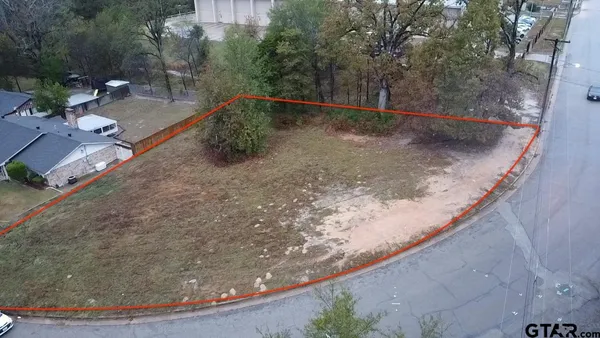 a view of a dry yard with lots of trees