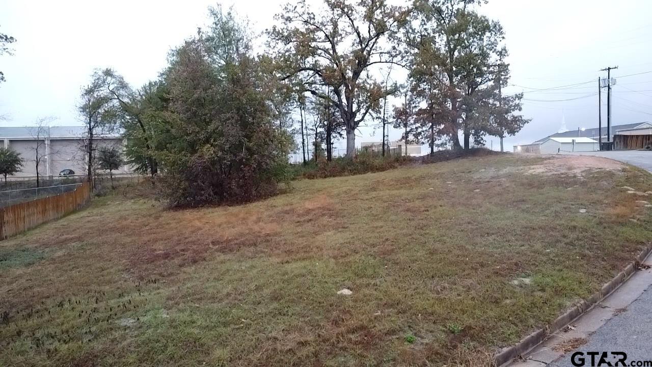 3601 Brazos Boulevard Tyler, TX 75702 - Photo 5 of 7 a view of outdoor space and yard