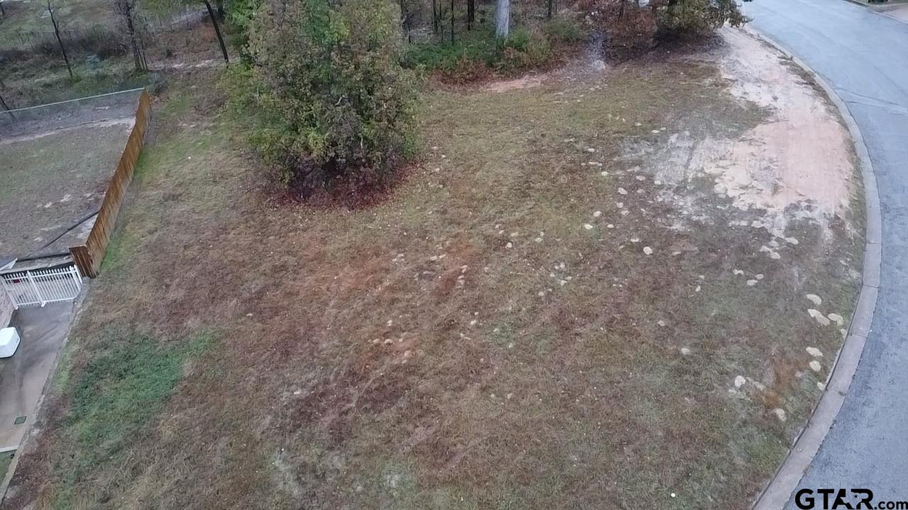 3601 Brazos Boulevard Tyler, TX 75702 - Photo 6 of 7 a view of a yard with a tree