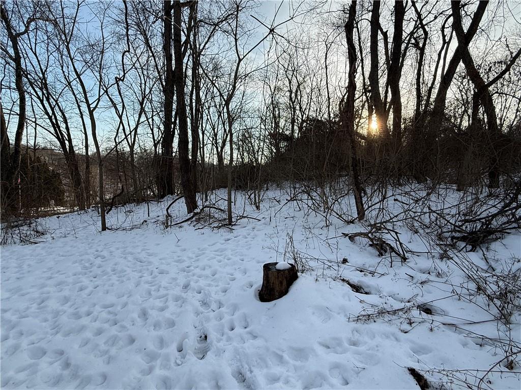 a view of backyard of a house