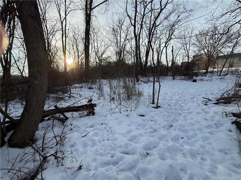 Lot 1 Millers Run Road Cecil, PA 15321 - Photo 2 of 8 a view of backyard with trees