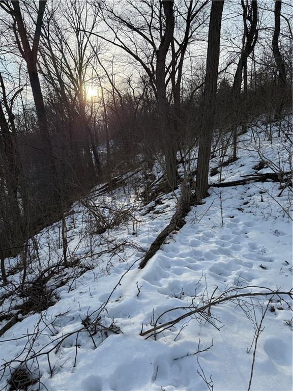 Lot 1 Millers Run Road Cecil, PA 15321 - Photo 6 of 8 a view of a backyard of the house