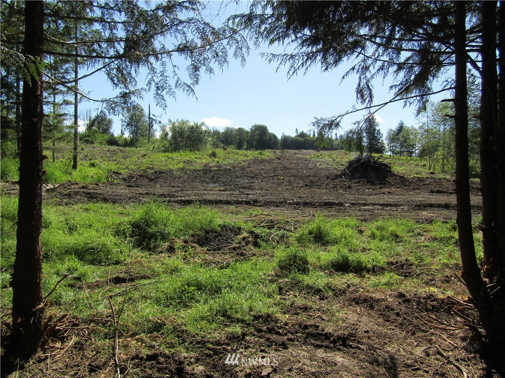 2 Guerrier Road Chehalis, WA 98532 - Photo 2 of 3