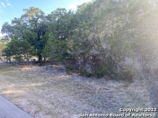 750 Misty Lane Spring Branch, TX 78070 - Photo 1 of 1 Gallery Image 1