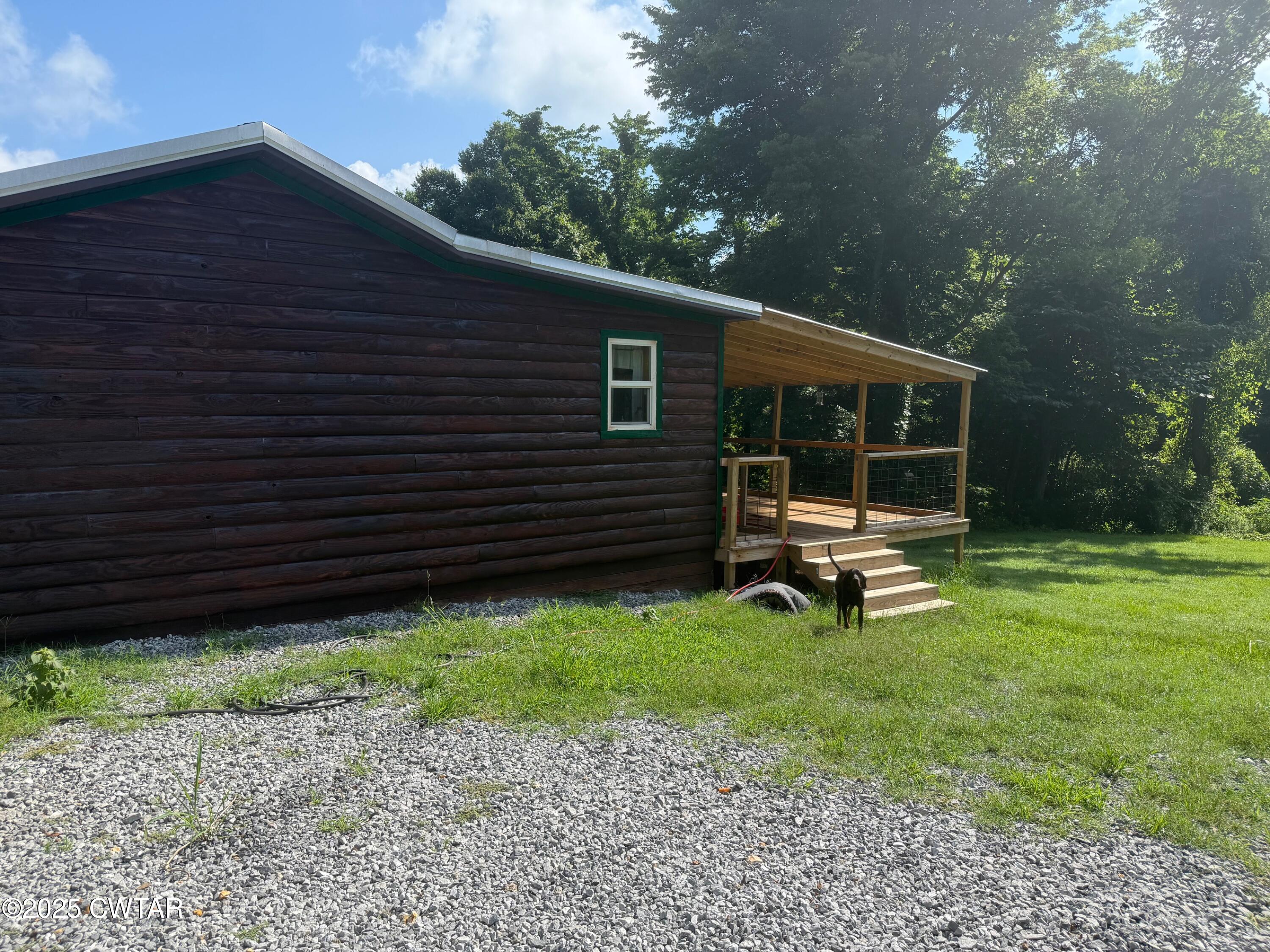 972 Cleve Duke Road Hornbeak, TN 38232 - Photo 21 of 36 a backyard of a house with potted plants and large tree
