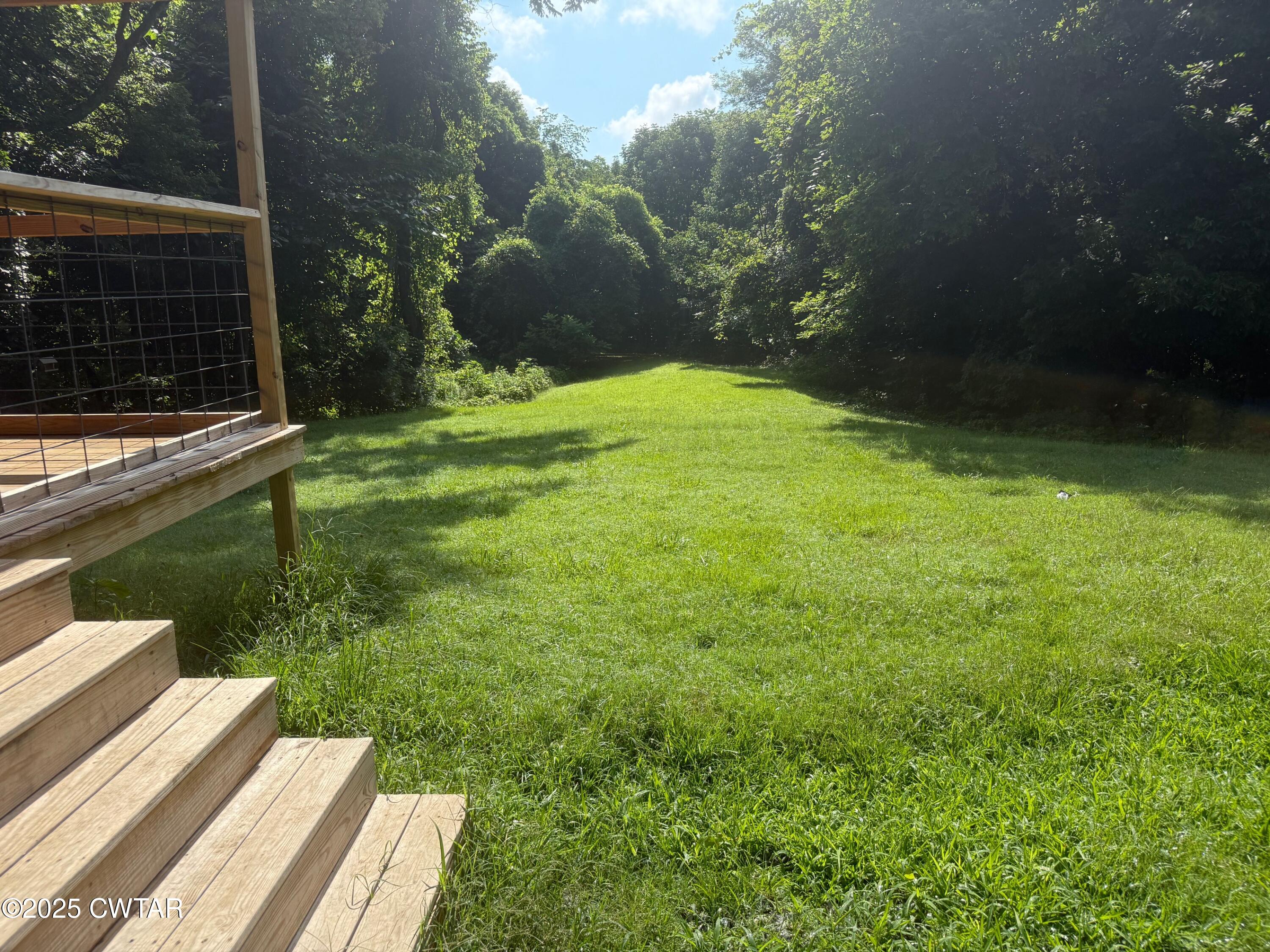 972 Cleve Duke Road Hornbeak, TN 38232 - Photo 22 of 36 a backyard of a house with lots of green space and fountain