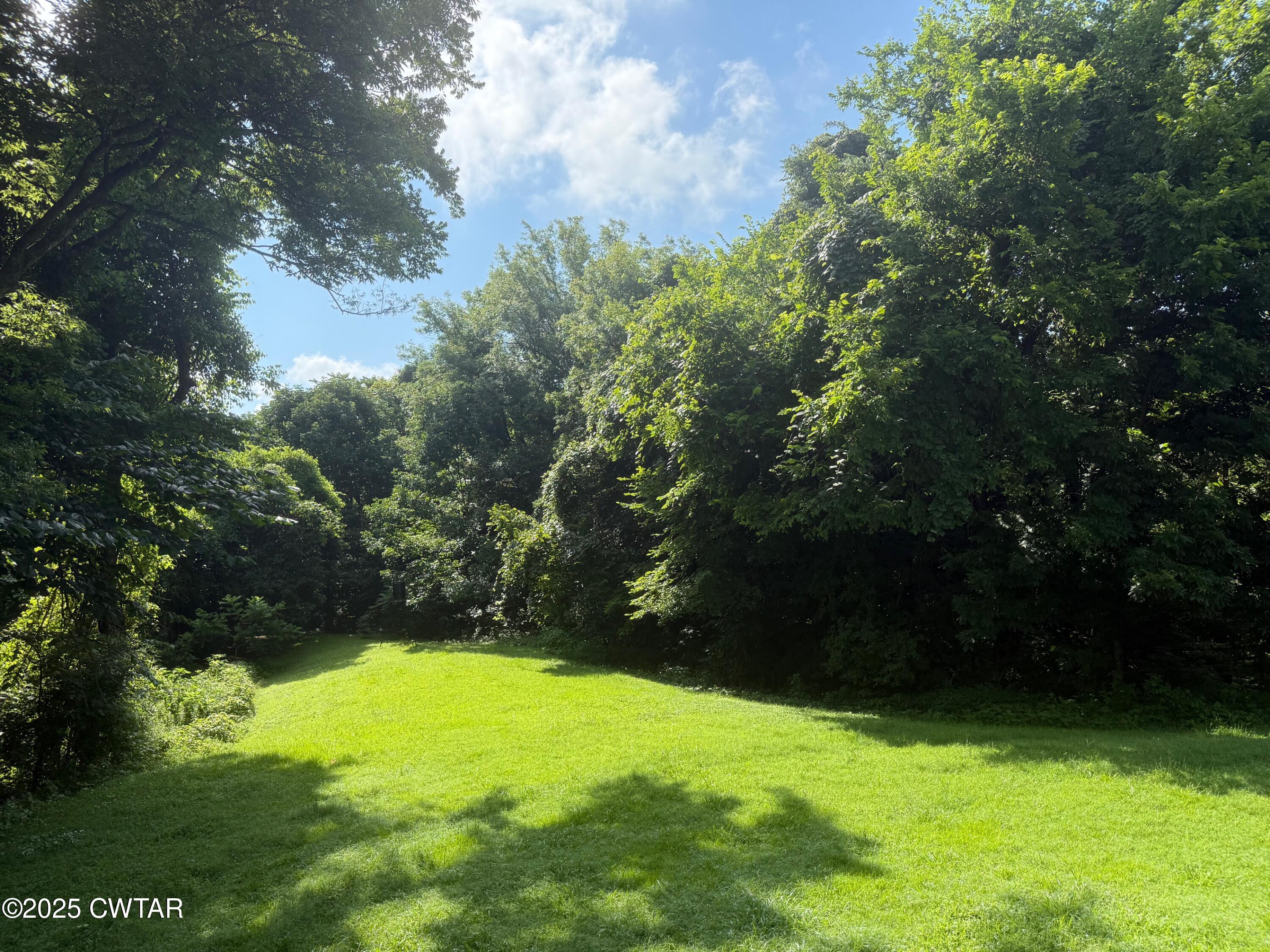 972 Cleve Duke Road Hornbeak, TN 38232 - Photo 23 of 36 a view of a yard