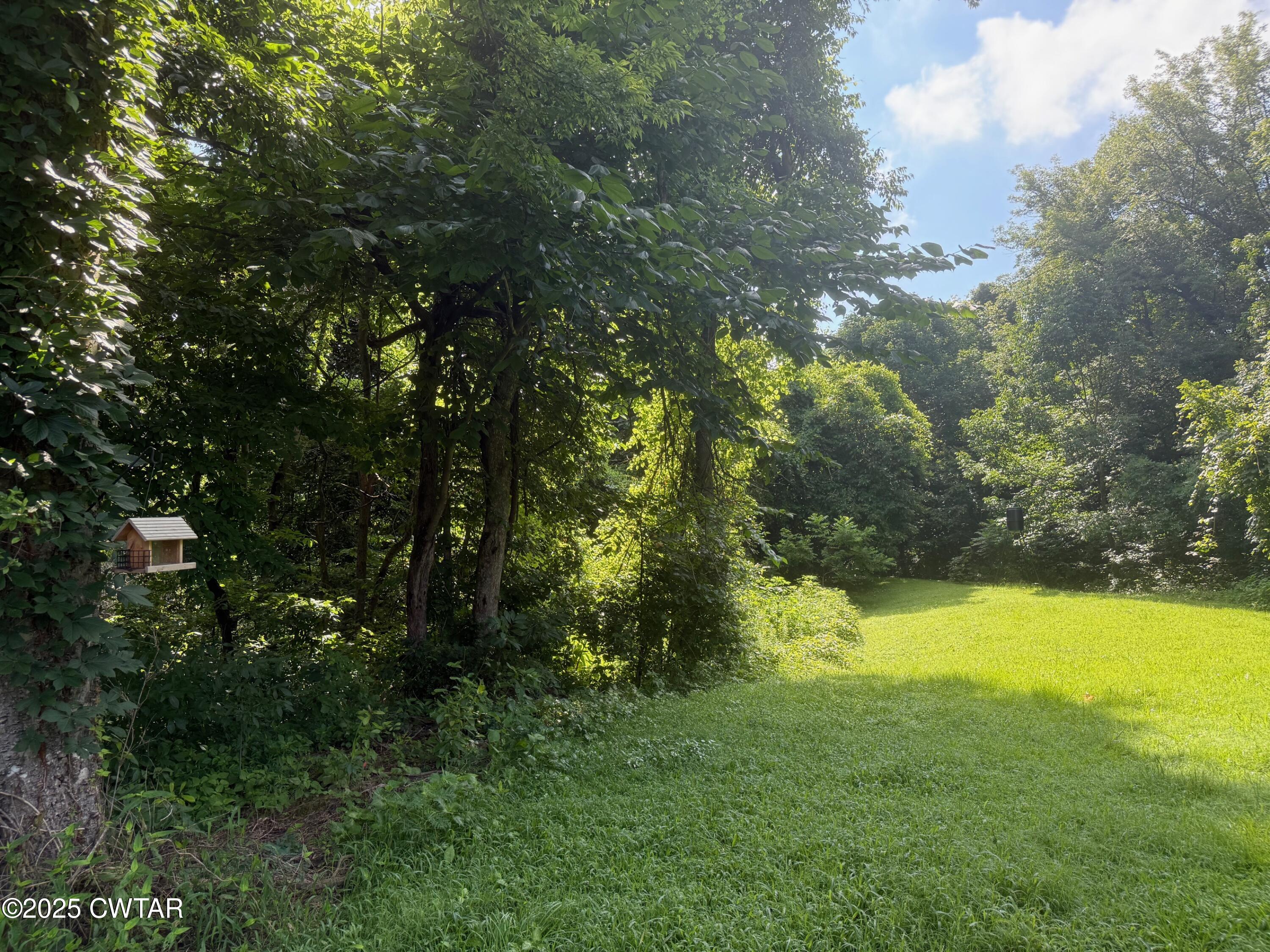 972 Cleve Duke Road Hornbeak, TN 38232 - Photo 24 of 36 a view of a yard with a tree
