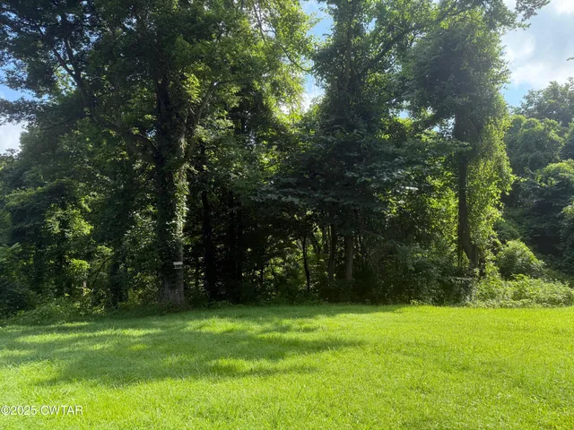 a view of yard with green space