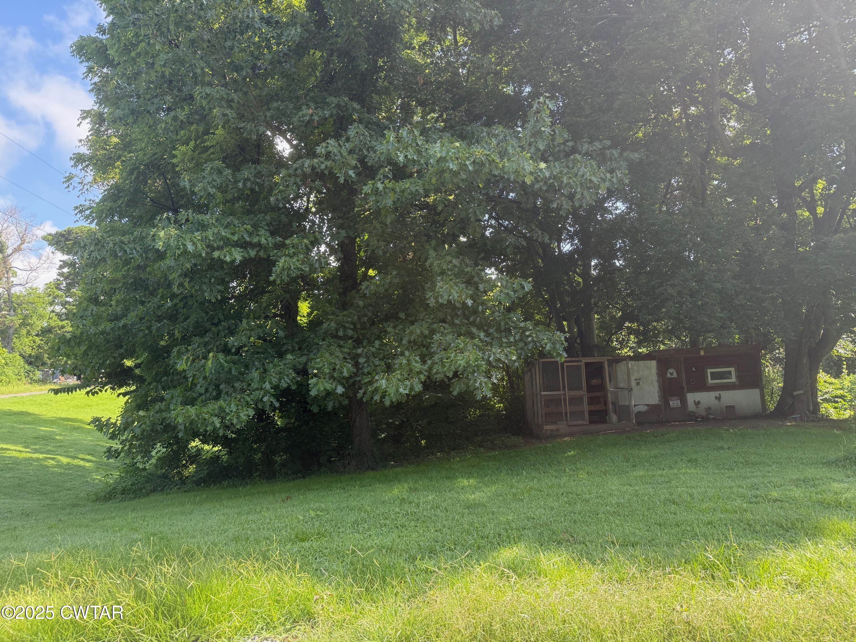 972 Cleve Duke Road Hornbeak, TN 38232 - Photo 28 of 36 a view of a backyard with plants and large trees