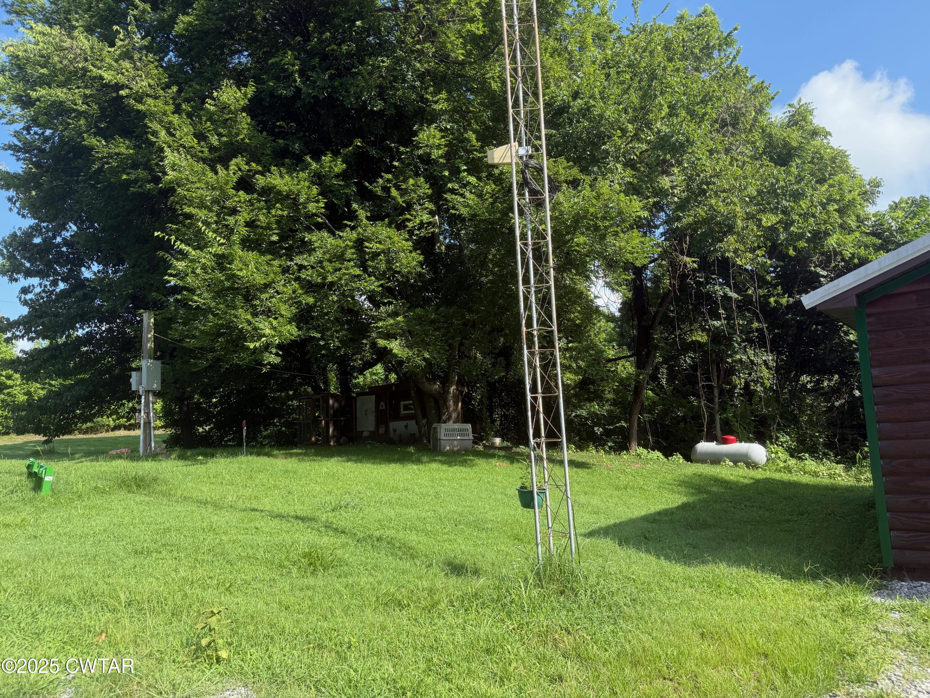 972 Cleve Duke Road Hornbeak, TN 38232 - Photo 29 of 36 a view of a park with a tree