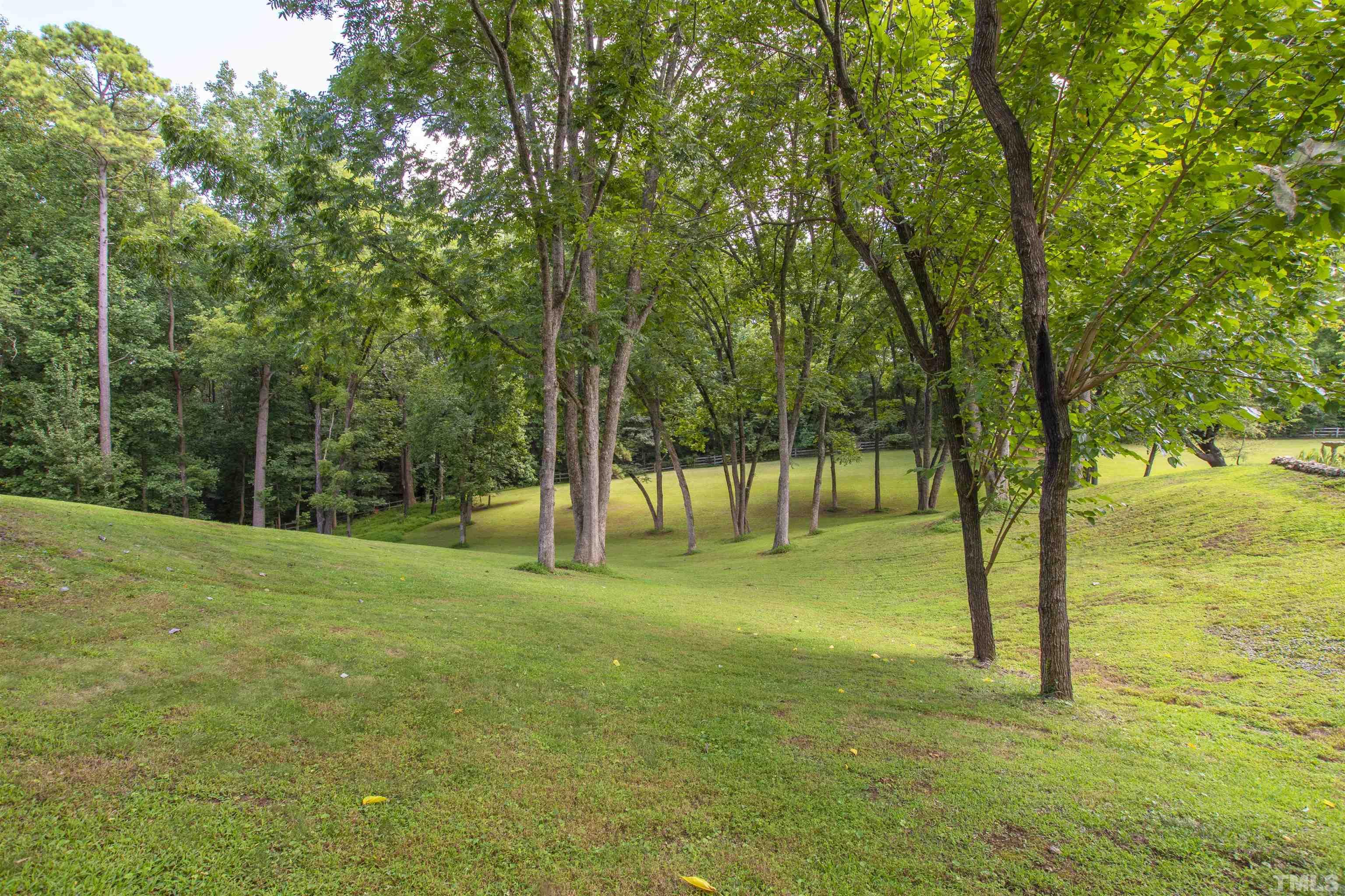 2429 Kirks Ridge Drive Raleigh, NC 27606 - Photo 10 of 65 a view of a trees with a yard
