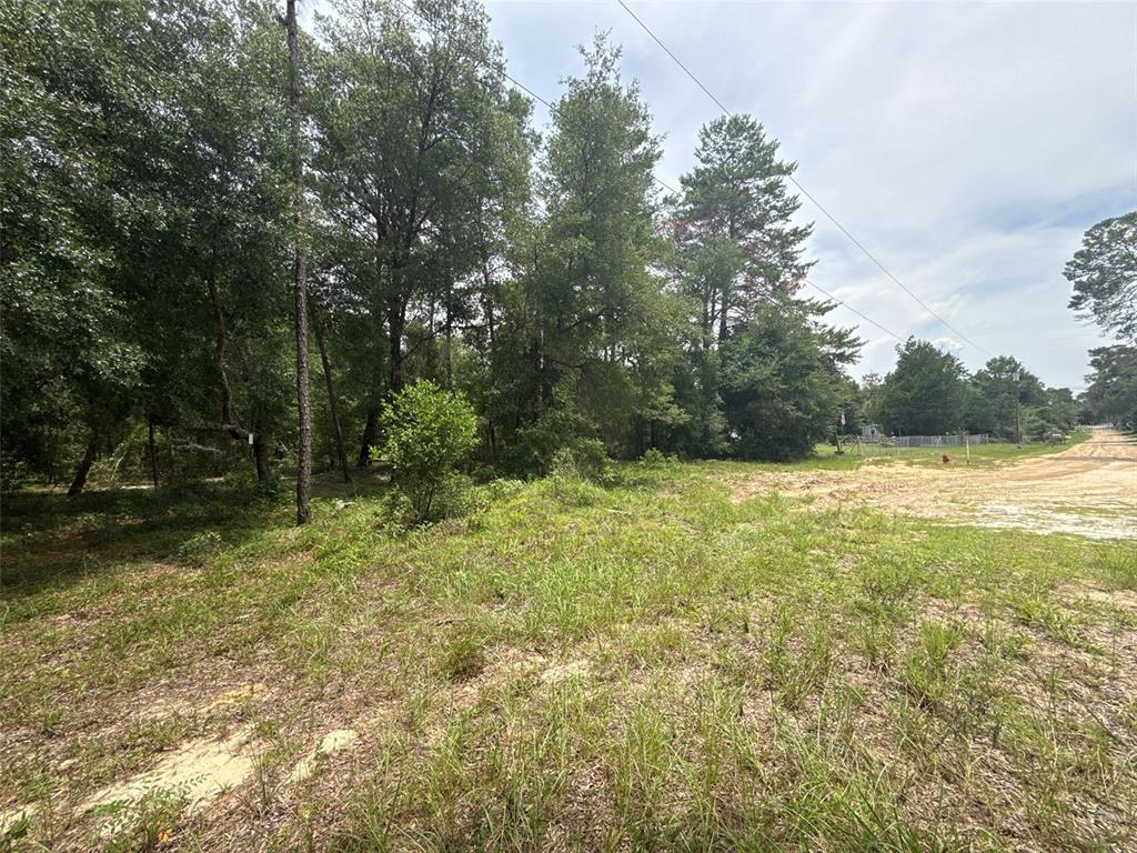 140 Cherokee Drive Interlachen, FL 32148 - Photo 3 of 10 a view of a yard with a tree