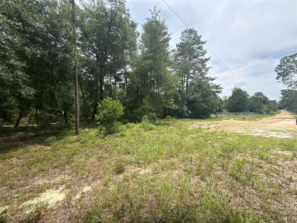 140 Cherokee Drive Interlachen, FL 32148 - Photo 4 of 10