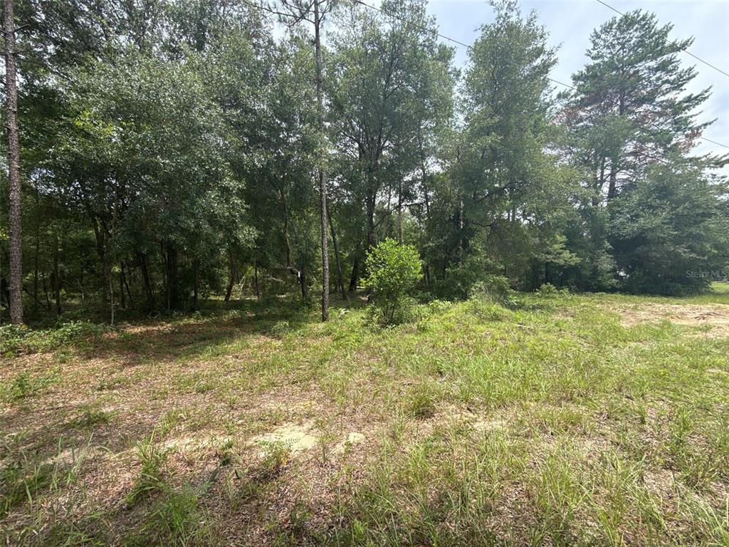 140 Cherokee Drive Interlachen, FL 32148 - Photo 6 of 10 a view of outdoor space and yard