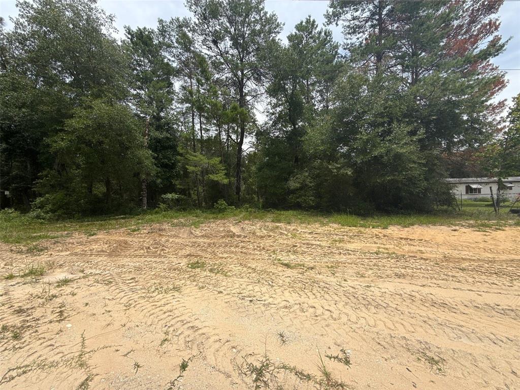 140 Cherokee Drive Interlachen, FL 32148 - Photo 8 of 10 a view of wooden fence and trees