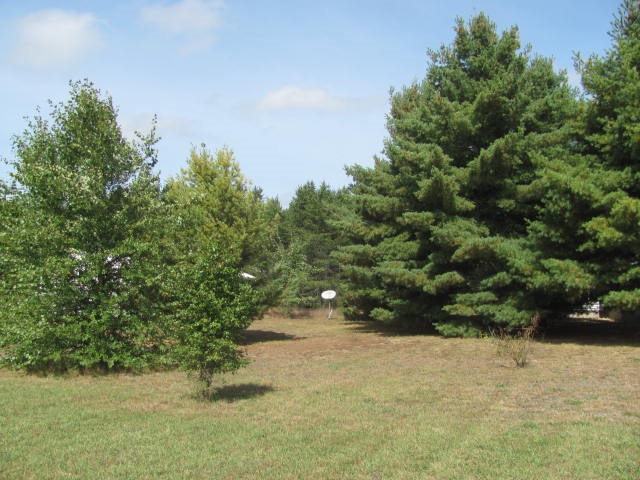 756 Quail Road Southwest Kalkaska, MI 49646 - Photo 24 of 26 1838844-23.JPG