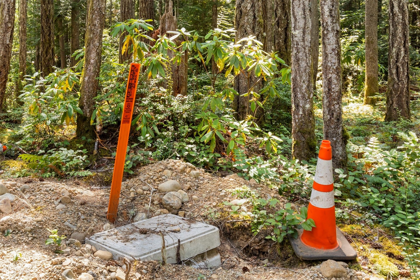 140 Springer Lane Brinnon, WA 98320 - Photo 25 of 38