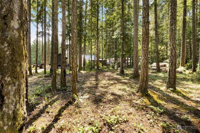 $335,000 | 140 Springer Lane, Brinnon, WA 98320