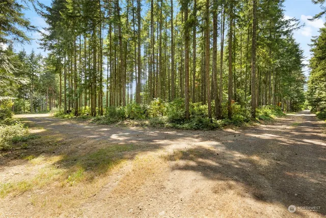 $335,000 | 140 Springer Lane, Brinnon, WA 98320