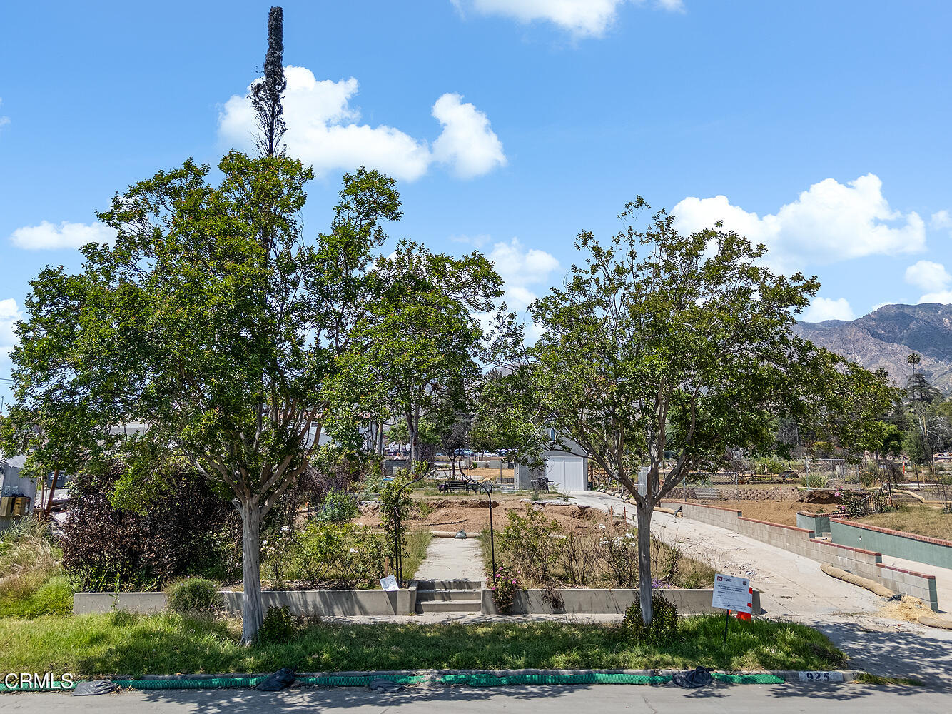 a view of a house with a yard and a tree