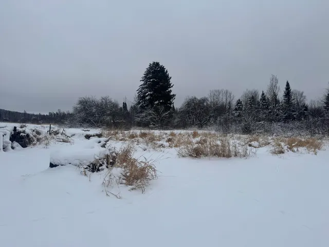 $149,000 | 4269 Aroostook Road, Winterville Plt, ME 04739