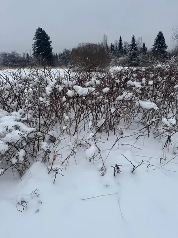 $149,000 | 4269 Aroostook Road, Winterville Plt, ME 04739