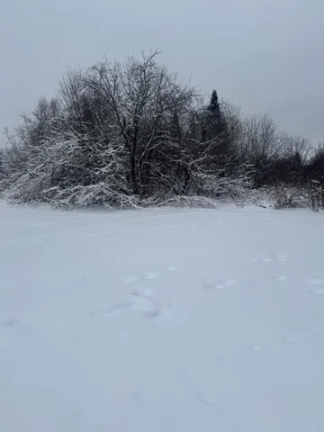 $149,000 | 4269 Aroostook Road, Winterville Plt, ME 04739