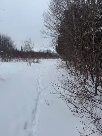 $149,000 | 4269 Aroostook Road, Winterville Plt, ME 04739