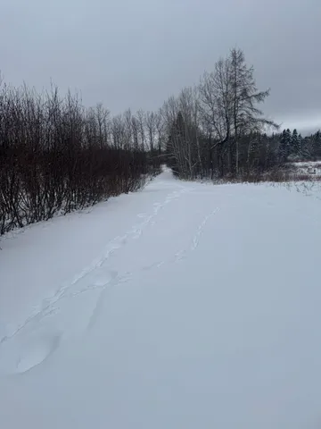 $149,000 | 4269 Aroostook Road, Winterville Plt, ME 04739