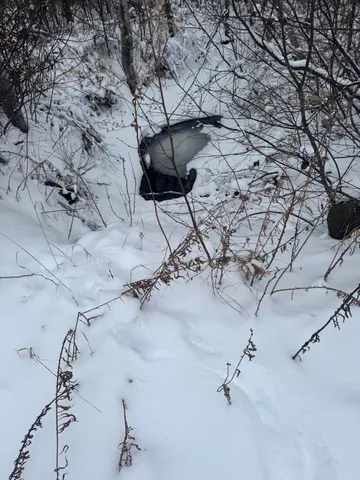 $149,000 | 4269 Aroostook Road, Winterville Plt, ME 04739