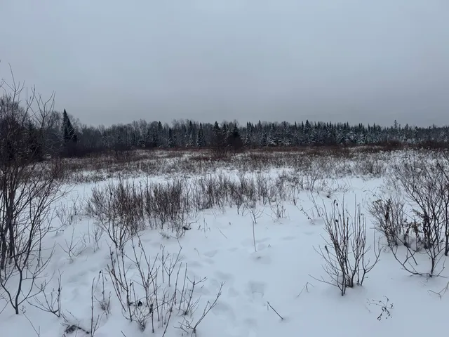 $149,000 | 4269 Aroostook Road, Winterville Plt, ME 04739