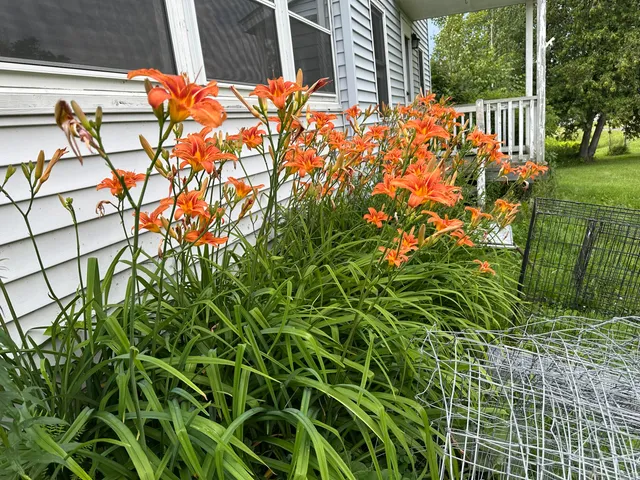 $149,000 | 4269 Aroostook Road, Winterville Plt, ME 04739